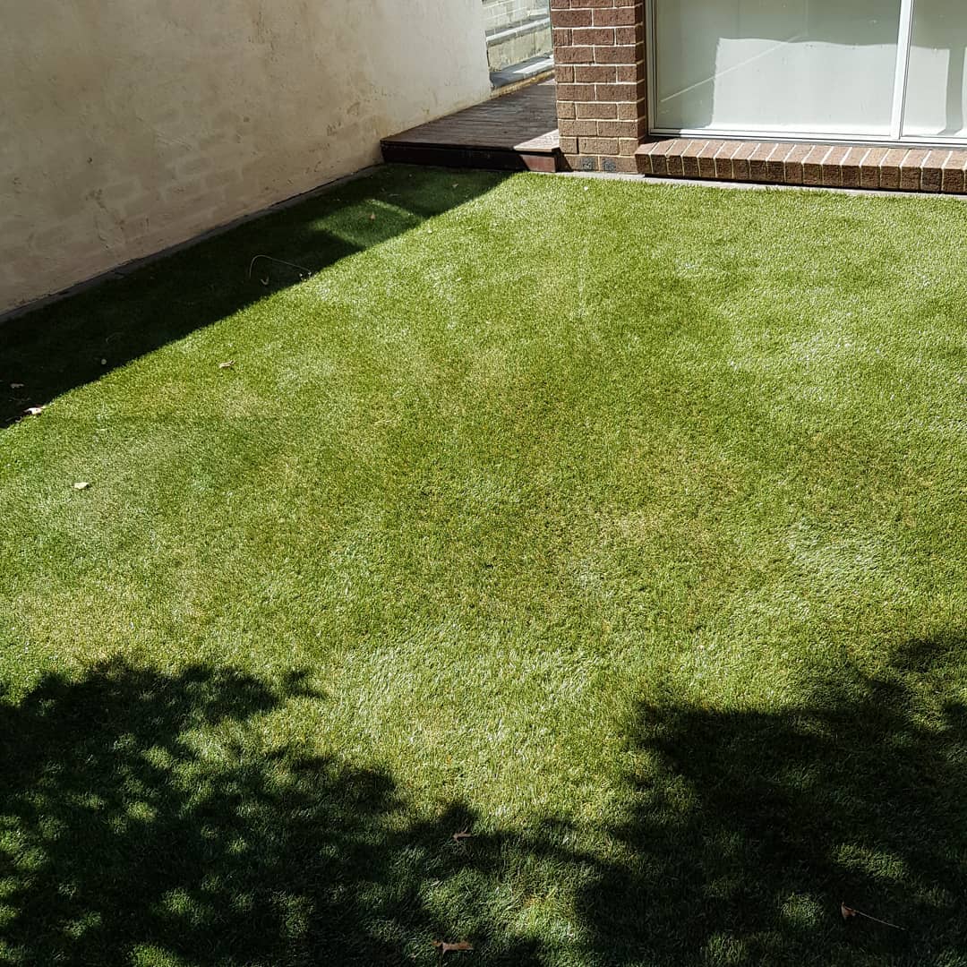 Turf project photo 4
